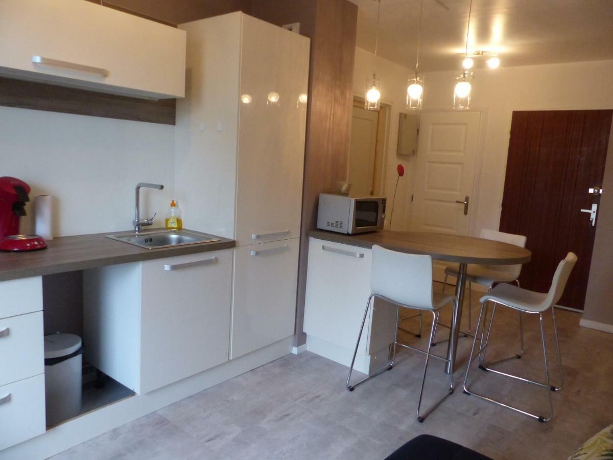 Appartement Au Calme, Avec Parc Prive, 50M Du Tram 투르 외부 사진